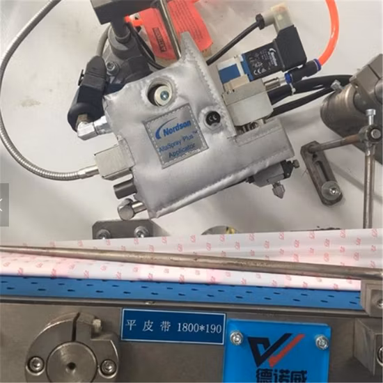 La fabbrica di Quanzhou fornisce una macchina per pannolini per bambini completamente servoautomatica